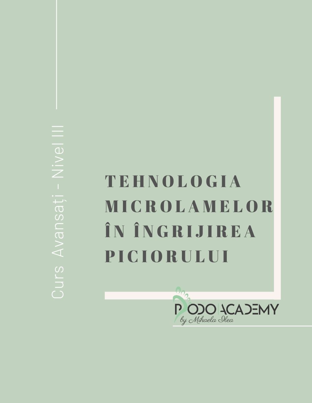 Cursul  TEHNOLOGIA MICROLAMELOR “SAFE” IN INGRIJIREA PICIORULUI - Nivel III
